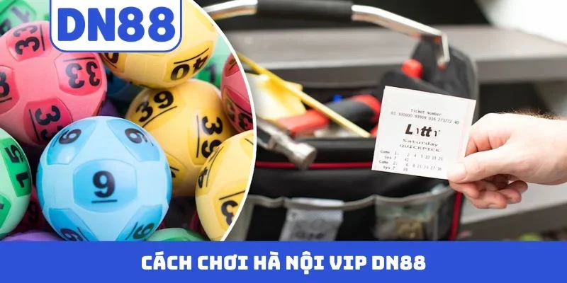 Hà Nội Vip DN88