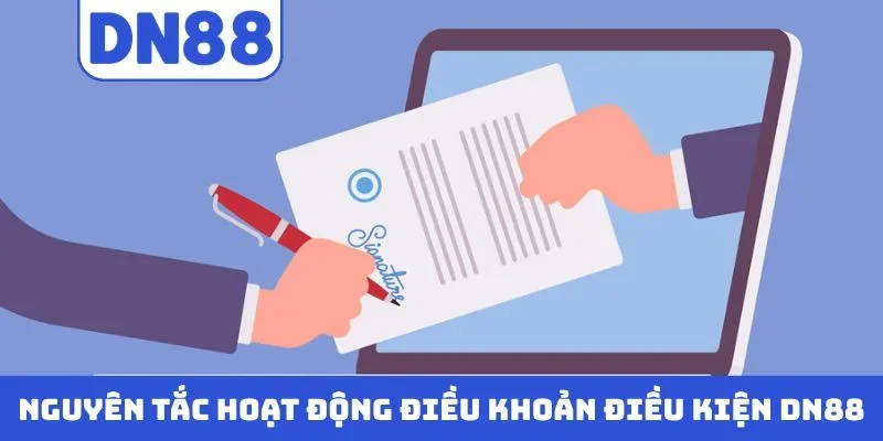 Nguyên tắc hoạt động điều khoản điều kiện DN88
