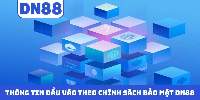 Thông tin đầu vào theo chính sách bảo mật DN88