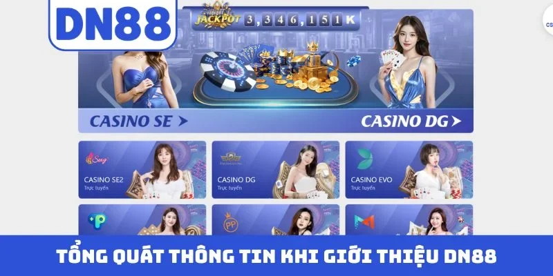 Tổng quát thông tin khi giới thiệu DN88